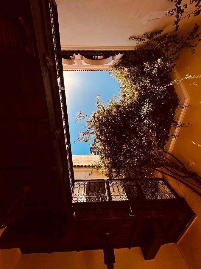 Riad Msholidays Bassin Privatise Marrakech Marrakesh Eksteriør billede