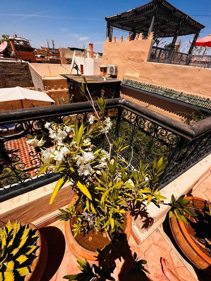 Riad Msholidays Bassin Privatise Marrakech Marrakesh Eksteriør billede